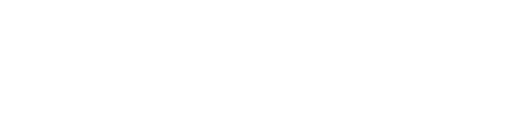 Fondazione per la scuola italiana - ETS